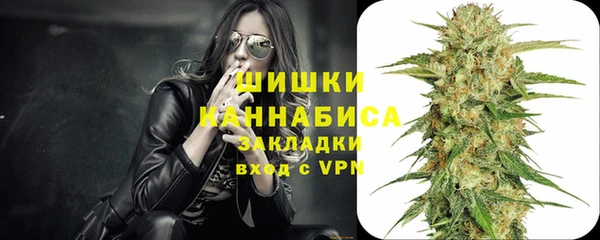 винт Аркадак
