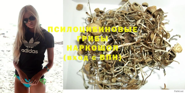 spice Армянск