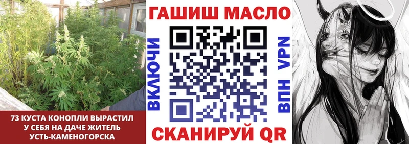 МЕГА ссылка  Снежногорск  Дистиллят ТГК THC oil 