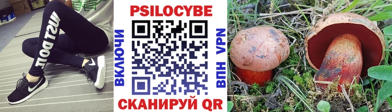 Псилоцибиновые грибы Cubensis  купить наркоту  Снежногорск 